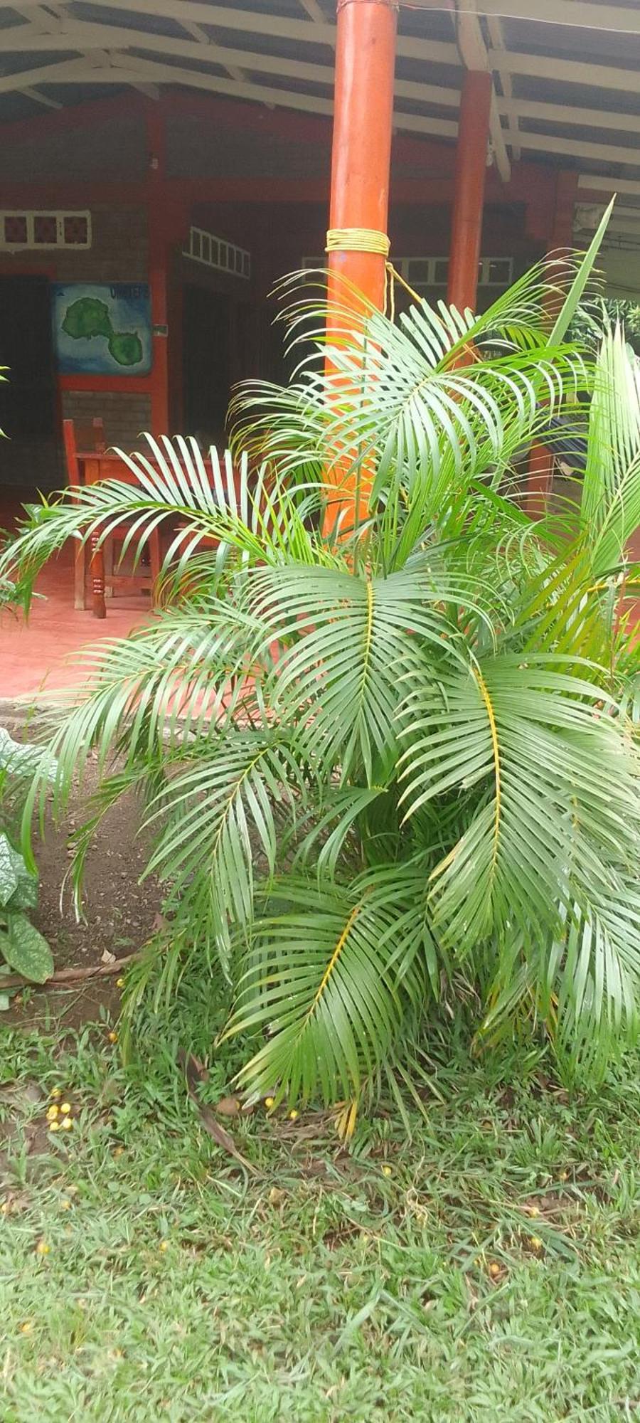 El Gueis Hostel Balgue Rum bild